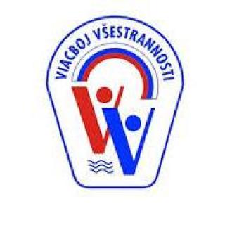 Po futbalovom triumfe ďalší veľký športový úspech našich detí
